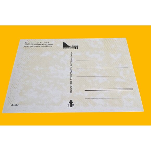 Vintage Zurich Postcard: Seagulls Over Limmat River - Picture 4 of 5